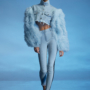 Feather Cropped Denim Jacket1