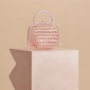 Lilleth Acrylic Mini Bag3