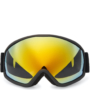Mirrored Ski Goggles